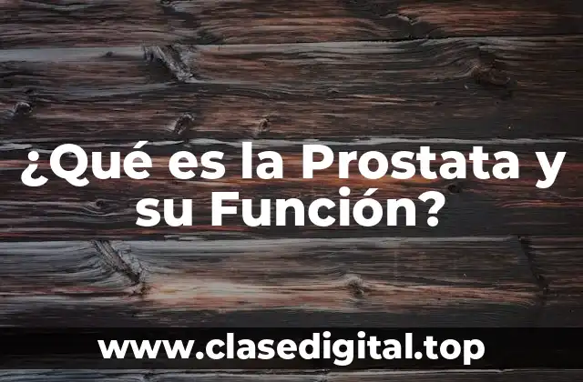 ¿Qué es la Prostata y su Función?