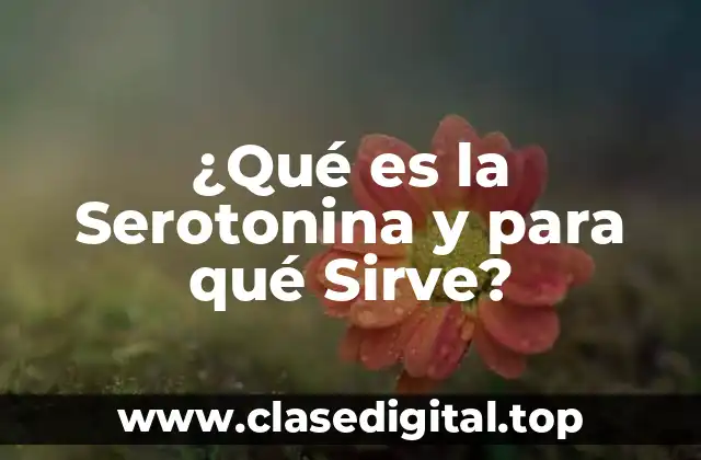 ¿Qué es la Serotonina y para qué Sirve?