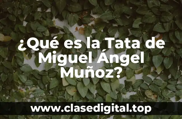 ¿Qué es la Tata de Miguel Ángel Muñoz?