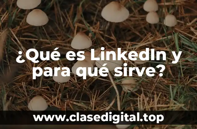 ¿Qué es LinkedIn y para qué sirve?