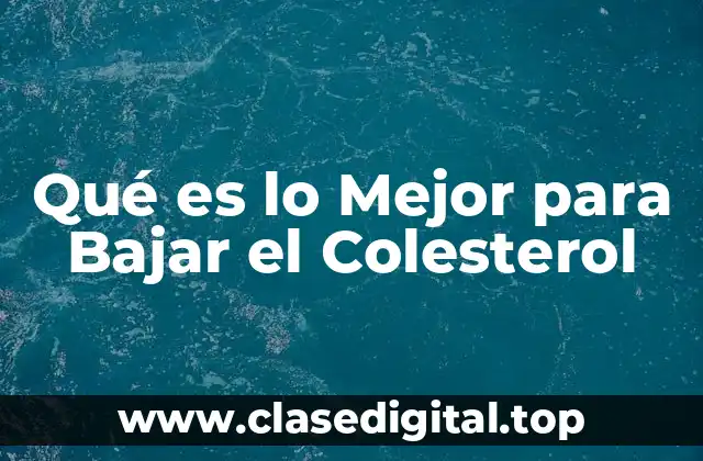 Qué es lo Mejor para Bajar el Colesterol