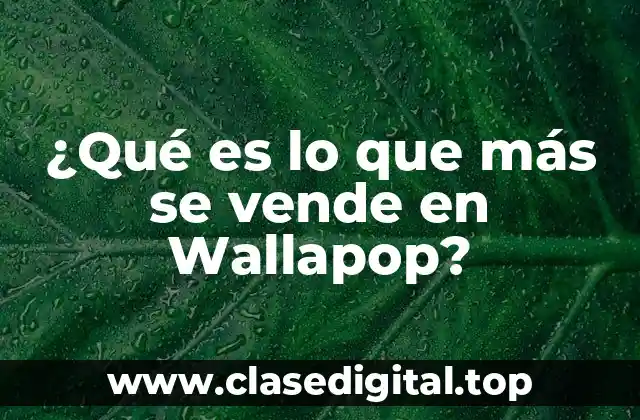 Categorías más populares en Wallapop