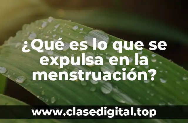 ¿Qué es lo que se expulsa en la menstruación?