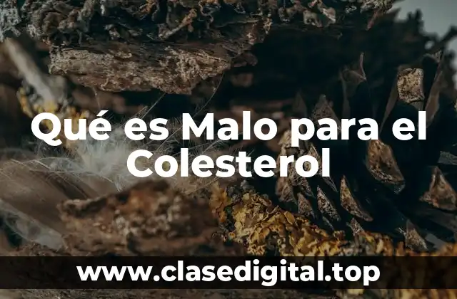 Alimentos Ricos en Grasa Saturada