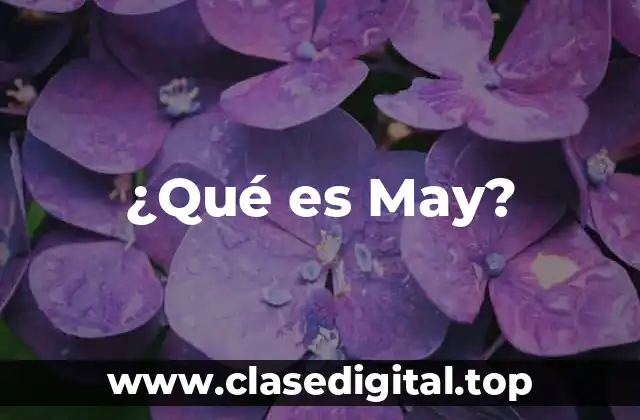 ¿Qué es May?