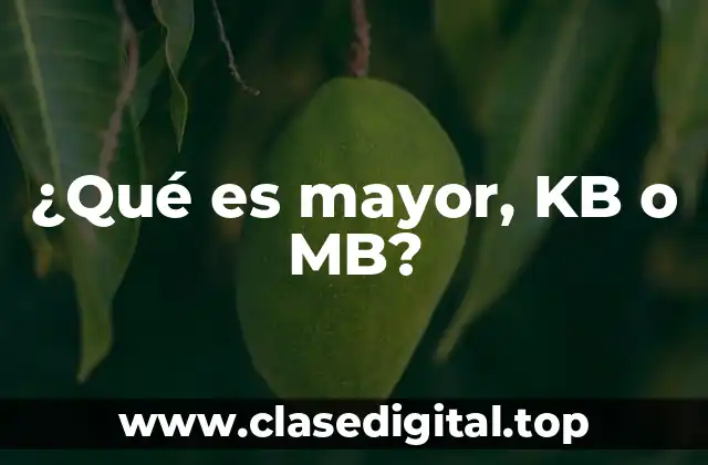 La unidad de medida de memoria: bits y bytes