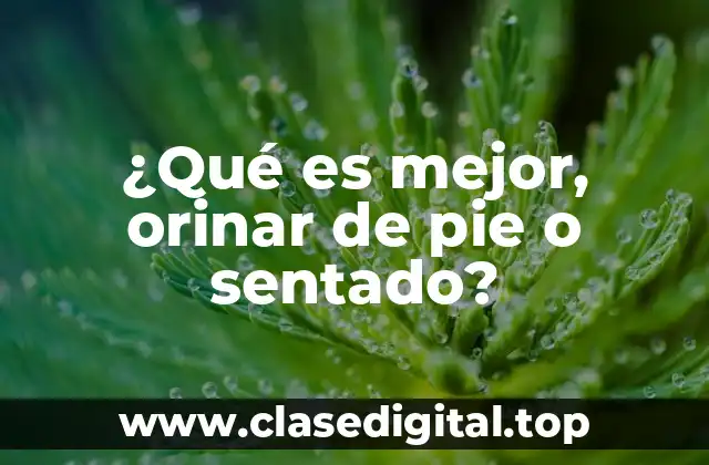 ¿Qué es mejor, orinar de pie o sentado?