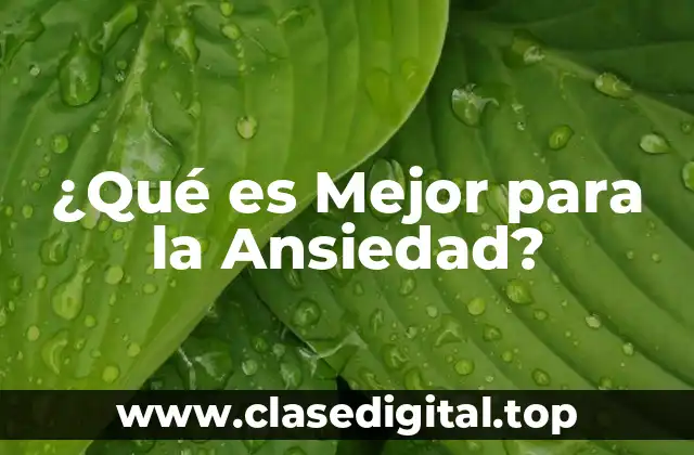 Terapia Cognitivo-Conductual (TCC) - Una Opción Efectiva para la Ansiedad