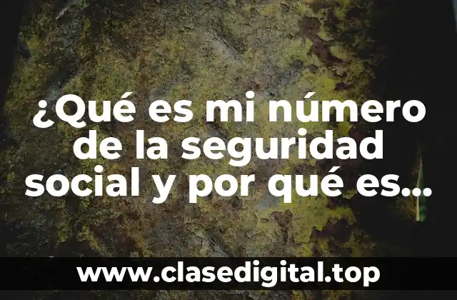 ¿Qué es mi número de la seguridad social y por qué es importante?
