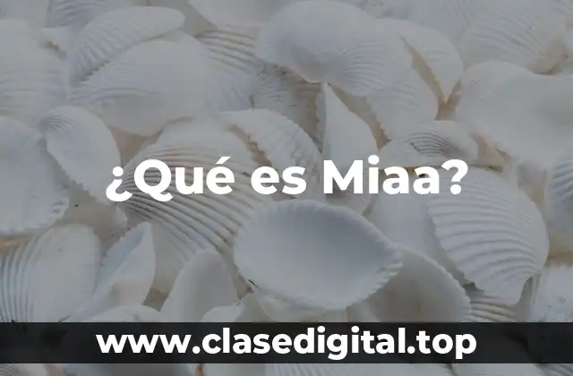 ¿Qué es Miaa?