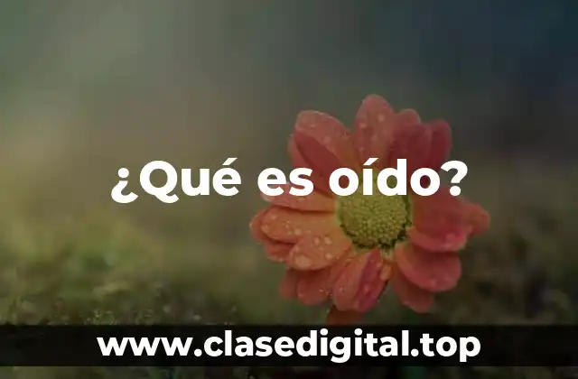 ¿Qué es oído?