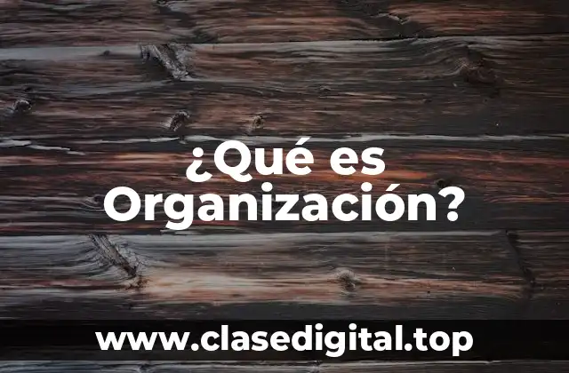 Ejemplos de Organización