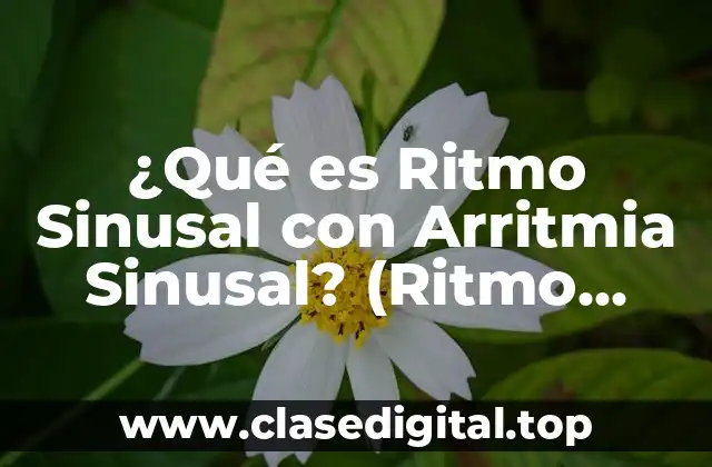 ¿Qué es Ritmo Sinusal con Arritmia Sinusal? (Ritmo Sinusal Anormal)