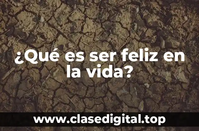La definición de la felicidad
