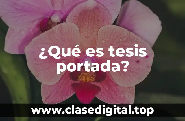 ¿Qué es tesis portada?