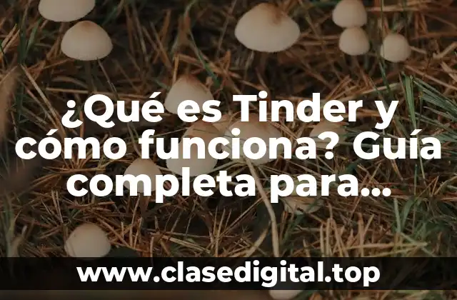 ¿Qué es Tinder y cómo funciona? Guía completa para principiantes