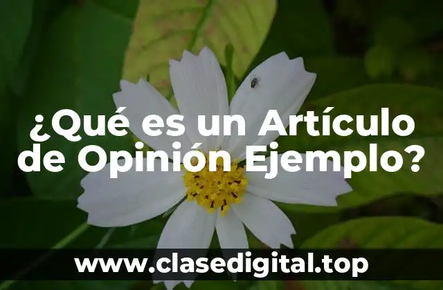 ¿Qué es un Artículo de Opinión Ejemplo?