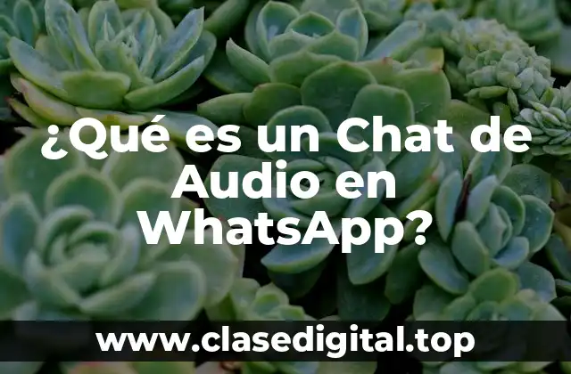 ¿Qué es un Chat de Audio en WhatsApp?