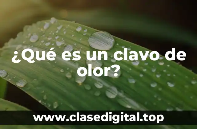 ¿Qué es un clavo de olor?