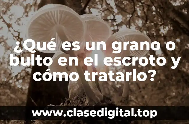 ¿Qué es un grano o bulto en el escroto y cómo tratarlo?