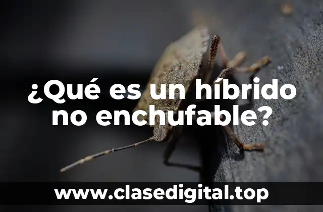 ¿Qué es un híbrido no enchufable?