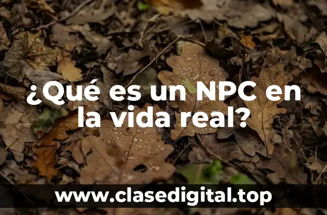 ¿Qué es un NPC en la vida real?