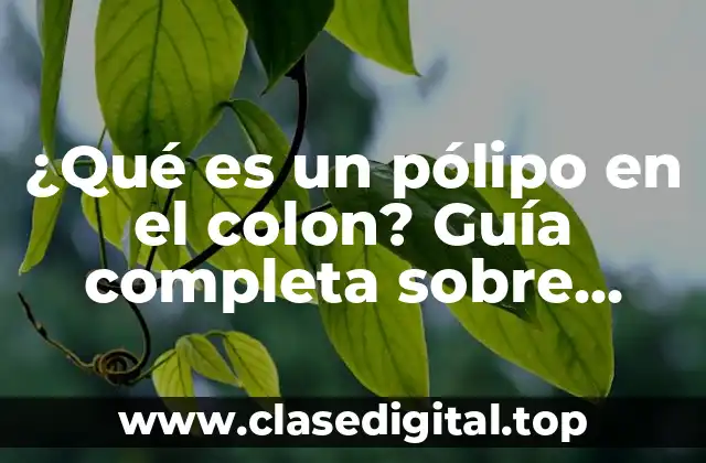 ¿Qué es un pólipo en el colon? Guía completa sobre pólipos colónicos