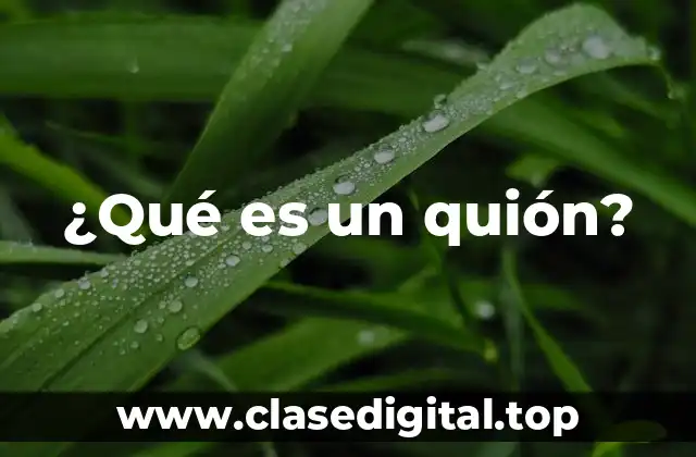 ¿Qué es un quión?