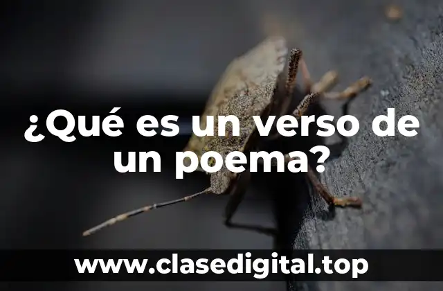 ¿Qué es un verso de un poema?
