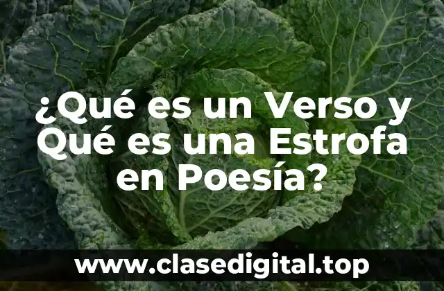 Definición de Verso en Poesía