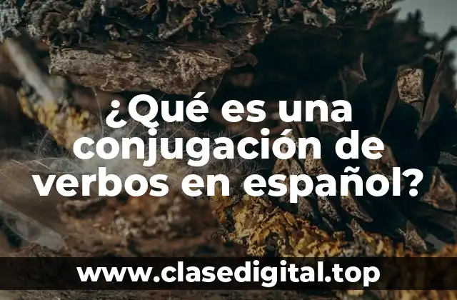 Tipos de conjugación de verbos