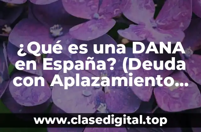 Definición y características de la DANA en España