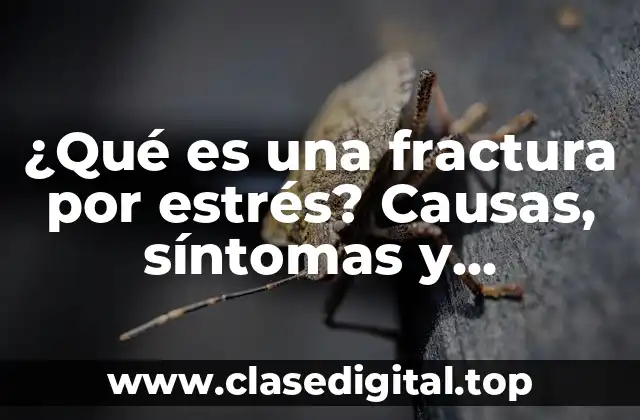 ¿Qué es una fractura por estrés? Causas, síntomas y tratamiento