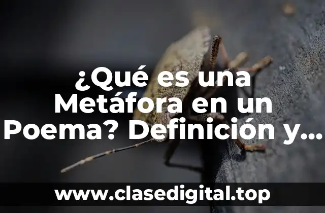 ¿Qué es una Metáfora en un Poema? Definición y Ejemplos