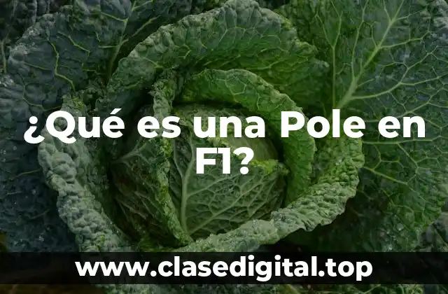 ¿Qué es una Pole en F1?
