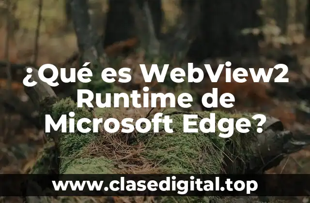¿Qué es WebView2 Runtime de Microsoft Edge?