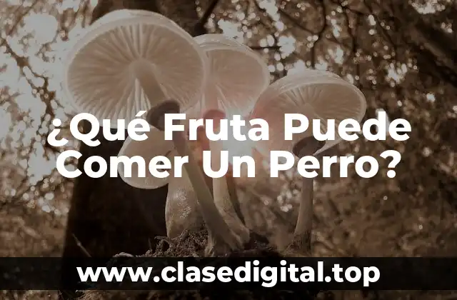 ¿Qué Fruta Puede Comer Un Perro?