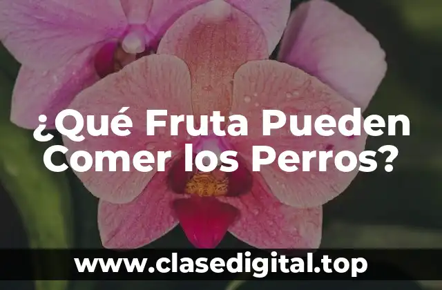 Frutas Seguras para Perros - Los Mejores Opciones