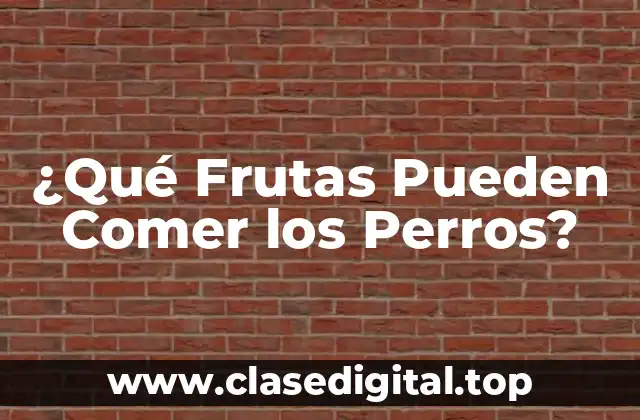 ¿Qué Frutas Pueden Comer los Perros?
