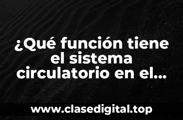 Componentes del sistema circulatorio