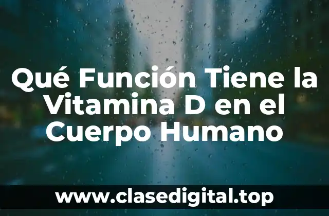 Qué Función Tiene la Vitamina D en el Cuerpo Humano