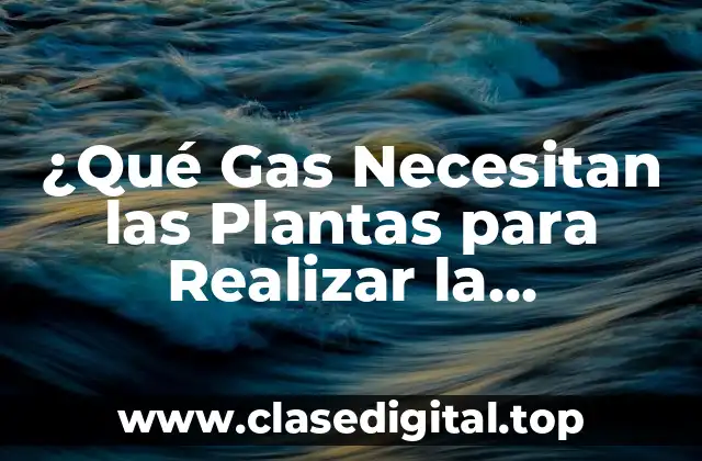 ¿Qué Gas Necesitan las Plantas para Realizar la Fotosíntesis?