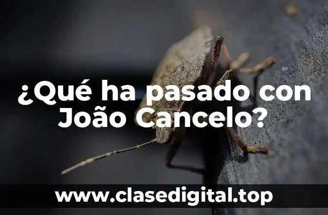 ¿Qué ha pasado con João Cancelo?