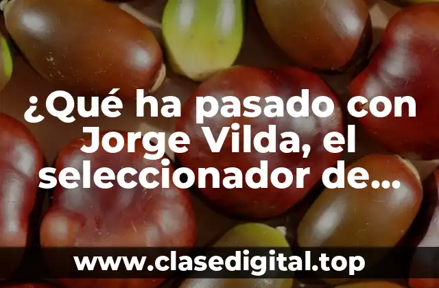 ¿Qué ha pasado con Jorge Vilda, el seleccionador de fútbol español?