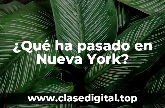 ¿Qué ha pasado en Nueva York?