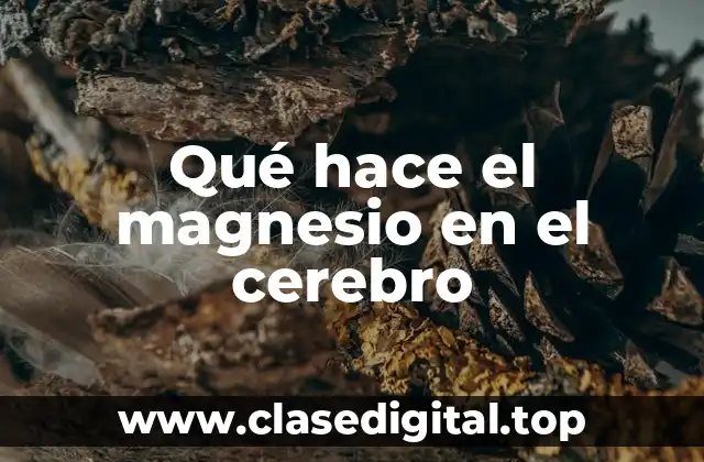 Qué hace el magnesio en el cerebro
