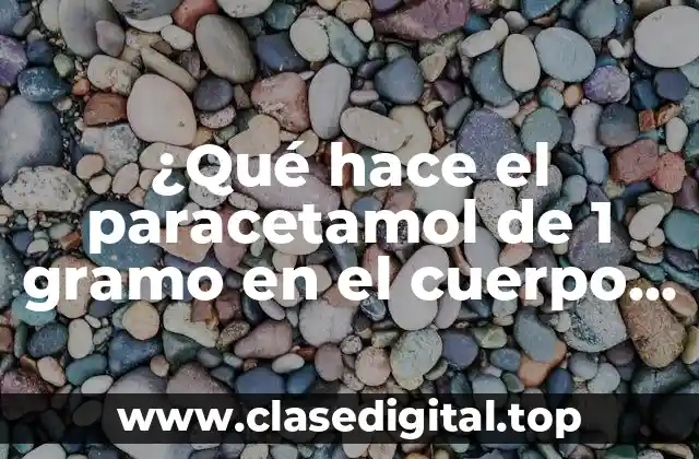 ¿Qué hace el paracetamol de 1 gramo en el cuerpo humano?