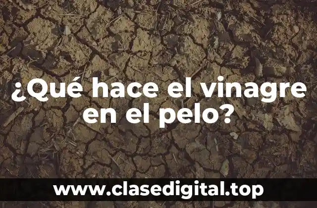 ¿Qué hace el vinagre en el pelo?