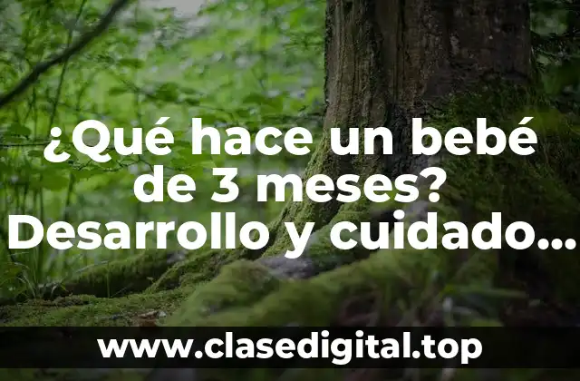 Desarrollo físico a los 3 meses: habilidades motoras y reflejos