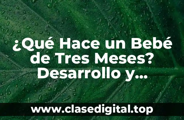 ¿Qué Hace un Bebé de Tres Meses? Desarrollo y Crecimiento